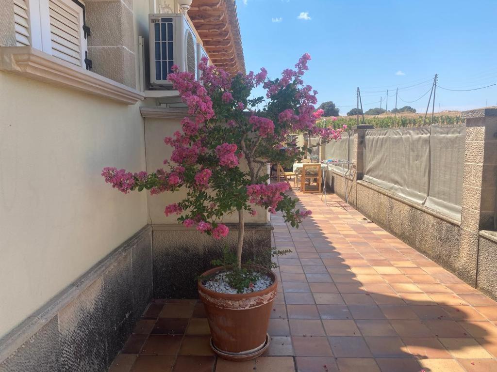 Gallart - Turistico Rural Guest House La Pobla de Cervoles Exterior photo